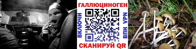 Галлюциногенные грибы Cubensis Купить где Краснотурьинск